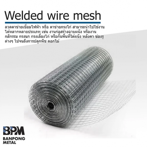 ตาข่ายกรงไก่ 